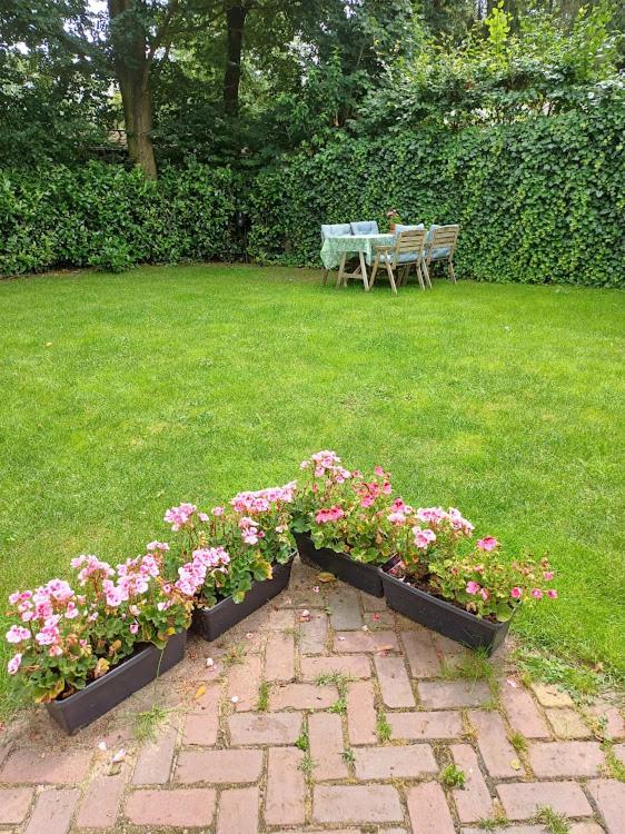 De Woudtplaats Chalet Wolfheze