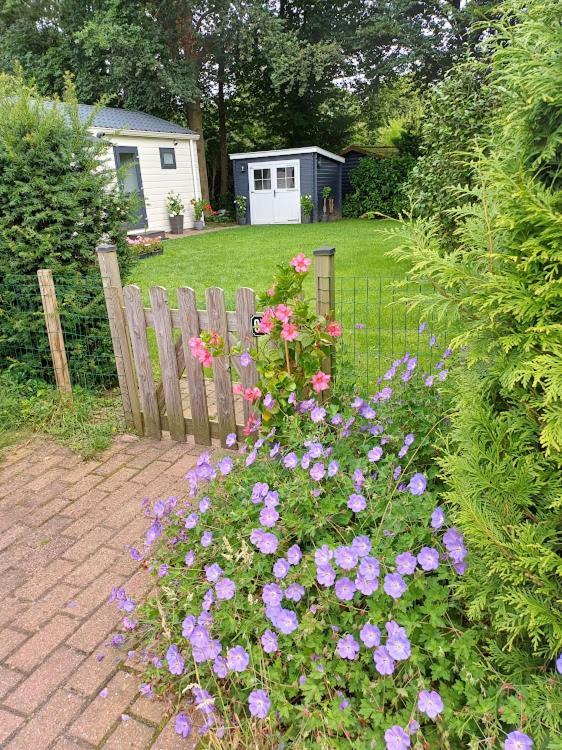 Chalet De Woudtplaats *